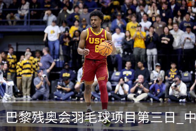 巴黎残奥会羽毛球项目第三日 中国队取得13胜3负